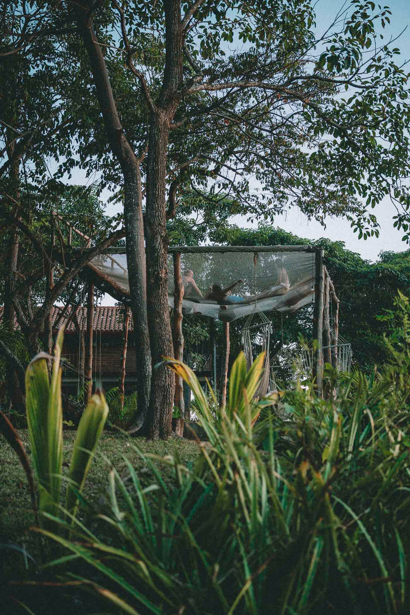 Hamacs dans le jardin tropical du lodge Still Salty Escape