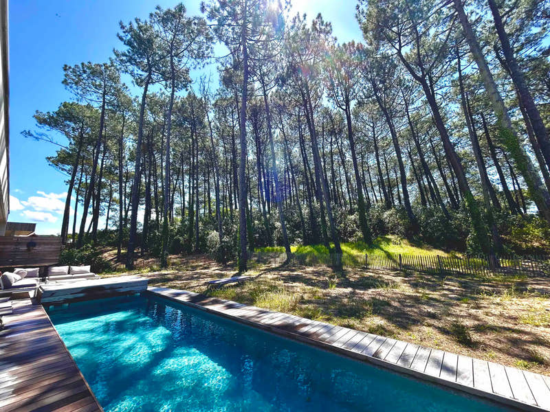 Piscine de la villa entourée de pins à Seignosse Océan