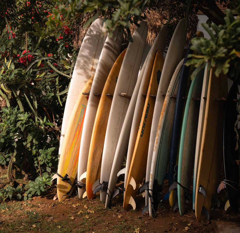 Planches de surf à disposition au lodge